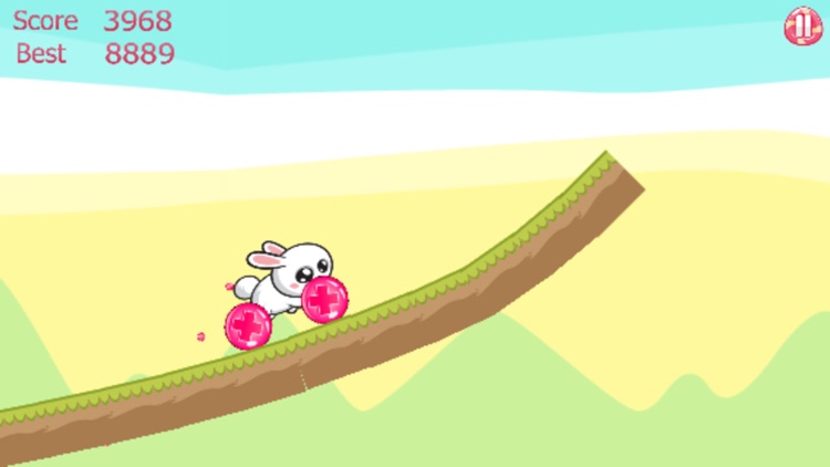 Fun Rabbit Racing