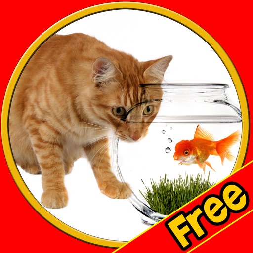 talented cats for kids - free icon
