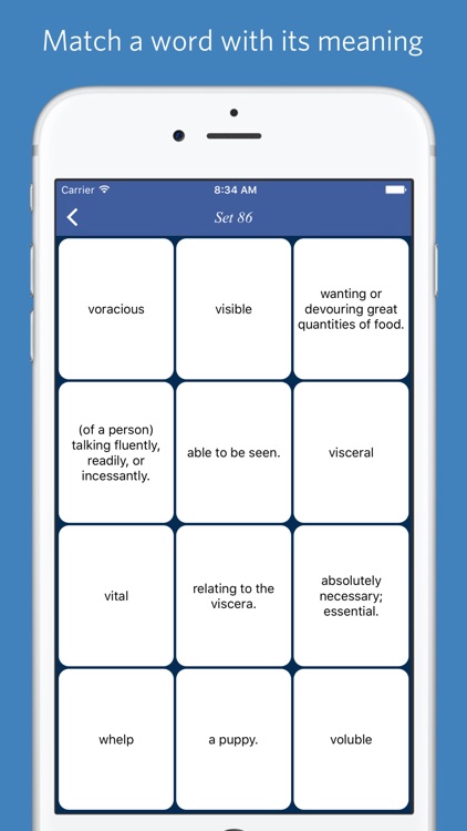 ACT word list - quiz, flashcard and match game screenshot-3