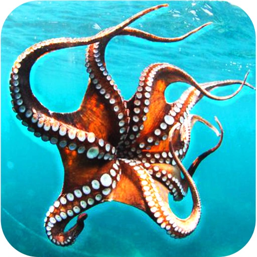 Under-Water Sea Creature Hunt Simulator - Octopus,Shark And Crocodile Hunt icon