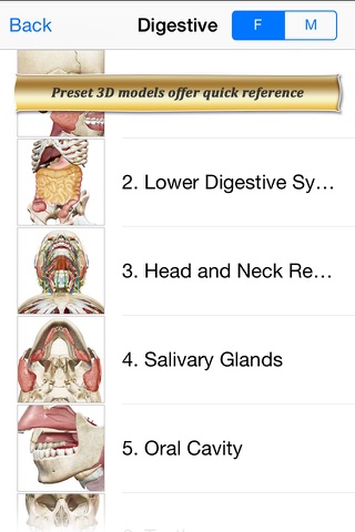Digestive Anatomy Atlas 6 for Springer screenshot 2