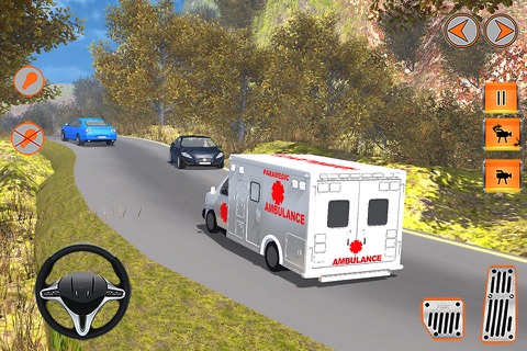911 Ambulance Rescue Mission screenshot 3