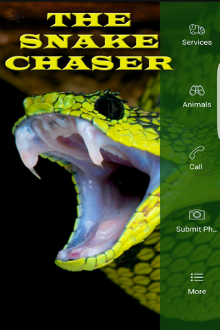Snake Chaser screenshot 3