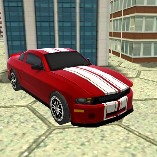 Sports Car Simulator 3D Icon
