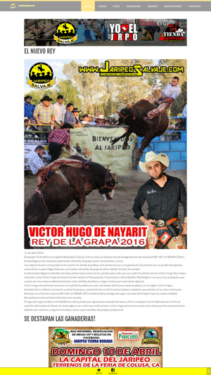 Jaripeo Salvaje