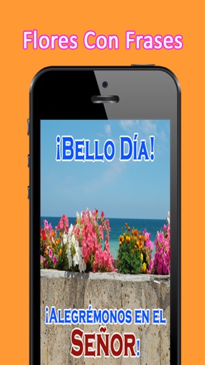 Flores Con Frases(圖4)-速報App