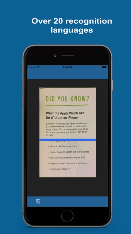 Text Extractor & Translator Pro
