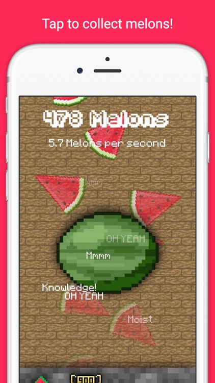 Melon Hustle