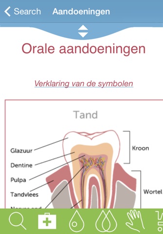 Modern Essentials Dutch screenshot 2