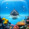 Underwater Wallpaper Gallery - Beautiful Sea Animals Backgrounds & Aquarium Lock-Screen.s