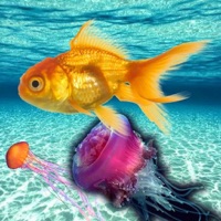 Underwater Sea Simulation pour PC