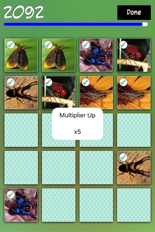 Match Insects screenshot 3