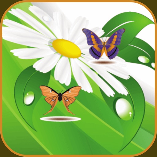Beautiful Butterflies Game iOS App