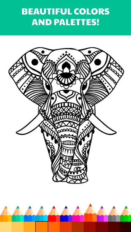 Color.ly Volume 1 - Adult coloring book (Animals, Basic, Celtic mosaic, Collage, Elephants, Floral, Geometric, Kids, Mandala, Oriental, Owls)