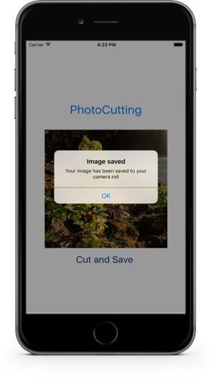 PhotoCutting Pro(圖4)-速報App