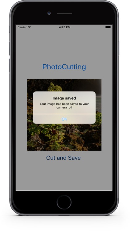 PhotoCutting Pro screenshot-3