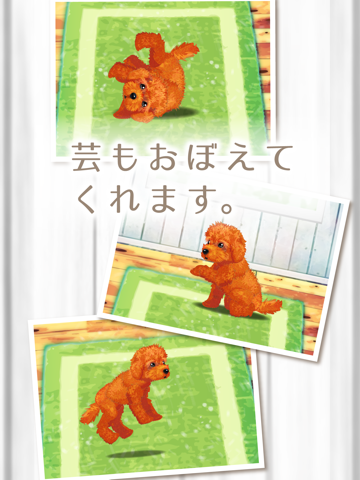 癒しの子犬育成ゲーム〜トイプードル編〜（無料）のおすすめ画像3
