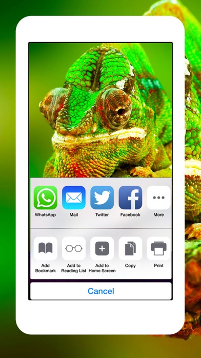 How to cancel & delete Snakes, Spiders, Lizards and Reptiles - Animals Wallpapers from iphone & ipad 2