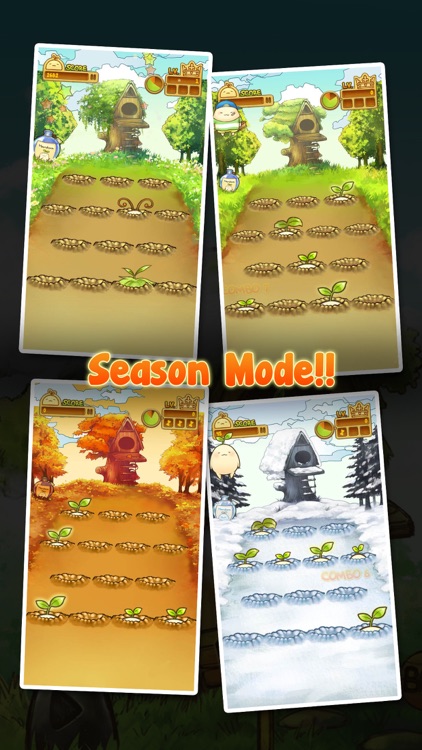 Mandora