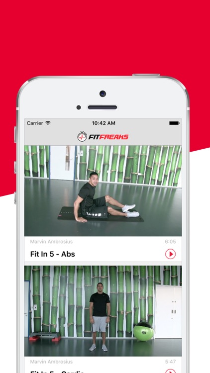Fit Freaks - The fit in 5 fitness workout routine