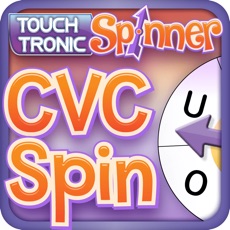 Activities of CVC Spin