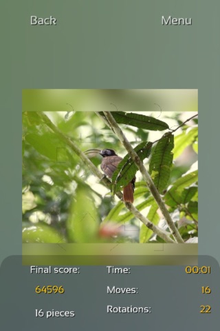 Birds of Paradise Puzzles screenshot 4
