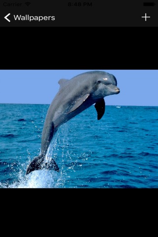 Dolphin Wallpapers screenshot 2