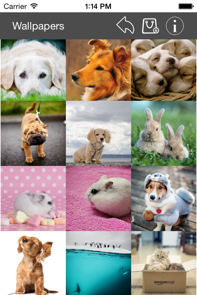 Wallpaper Collection Animals Edition screenshot 3