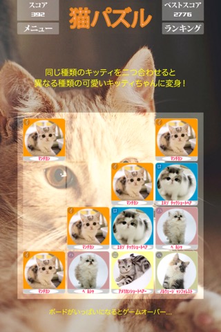 猫パズルいろは _ かわいいネコちゃんだちのパーティー、シンプル2048のおすすめ画像1