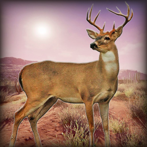 Deer Hunter: Desert Challenge 2016 iOS App