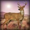 Deer Hunter: Desert Challenge 2016