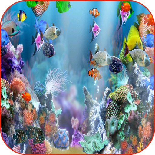 Aquarium Wallpapers Aquarium Fish Tank Frames Aquarium Fish Tank Care icon