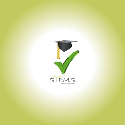 eInspections by Stems