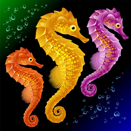 Seahorse Wallpapers HD: Quotes Backgrounds with Art Pictures