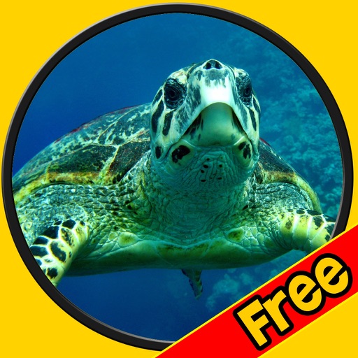 verry funny turtles for kids free icon