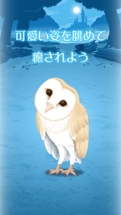 Owl Simulation Game