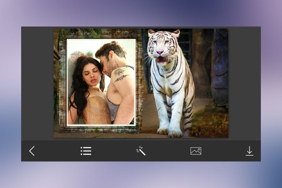 Tiger Photo Frame - Great and Fantastic Frames for your photo screenshot 2