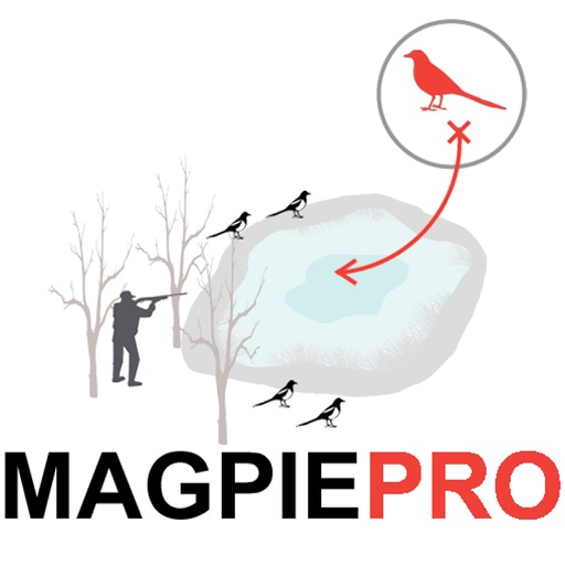 Magpie Hunting Strategy - Plan Your Magpie Hunting Trip icon