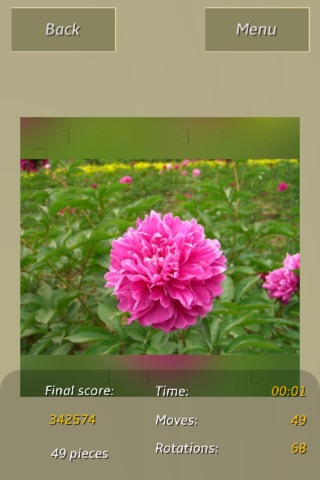 Flowers Colors Great Puzzle screenshot 4