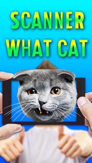 Scanner What Cat(圖2)-速報App