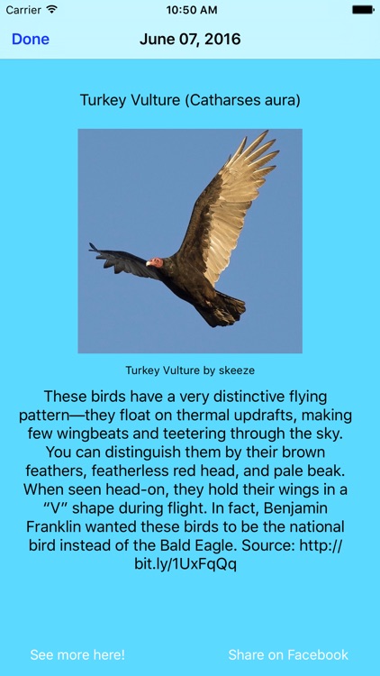 Daily Bird Facts screenshot-3