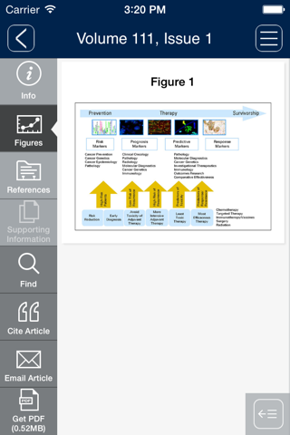 Journal of Surgical Oncology screenshot 2