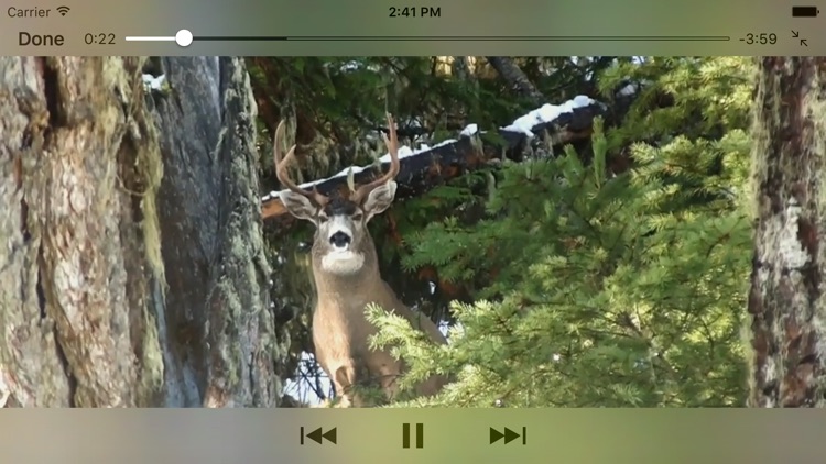 Blacktail Hunter screenshot-4