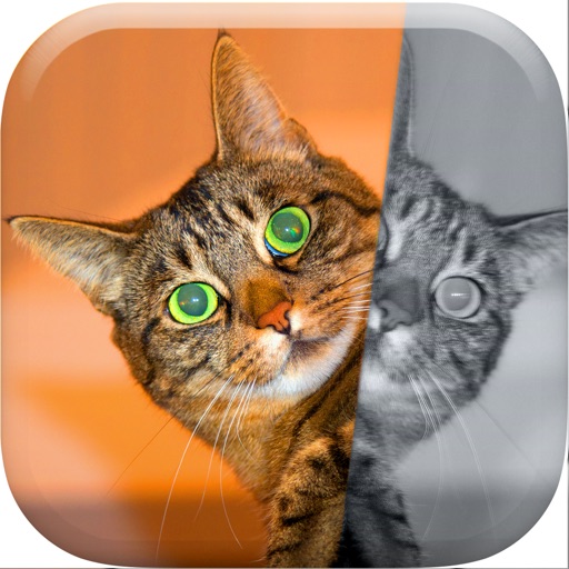 Photo Blender & Mirror Camera Effects - Split and Clone Pics with Image Edit.or Pro icon