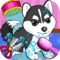 Baby Pet Spa Salon - Fashion Pets Care/Dress Up Salon