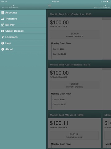 MB Business for iPad screenshot 2