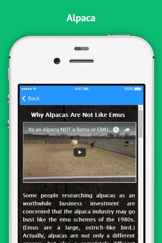 Alpaca - Successful Alpaca Farming screenshot 4