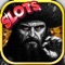 Absolute Pirate Casino Golden Slots