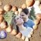 HoneyMoon Beach Photo Frames - Decorate your moments with elegant photo frames