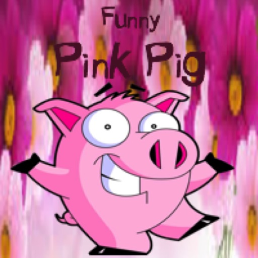 Funny Pink Pig